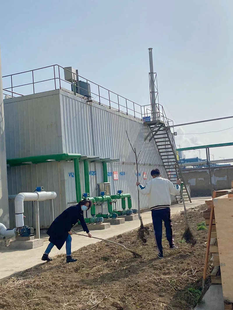 2022年3月植树活动