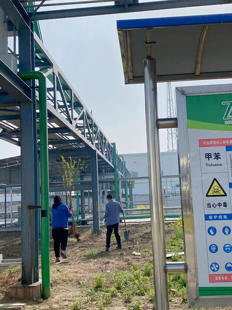 2022年3月植树活动
