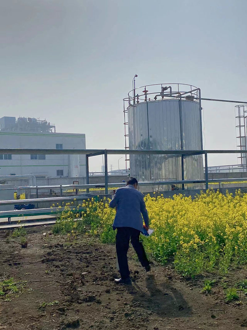 2022年3月植树活动