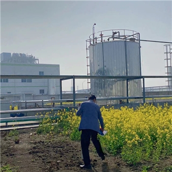 2022年3月植树活动