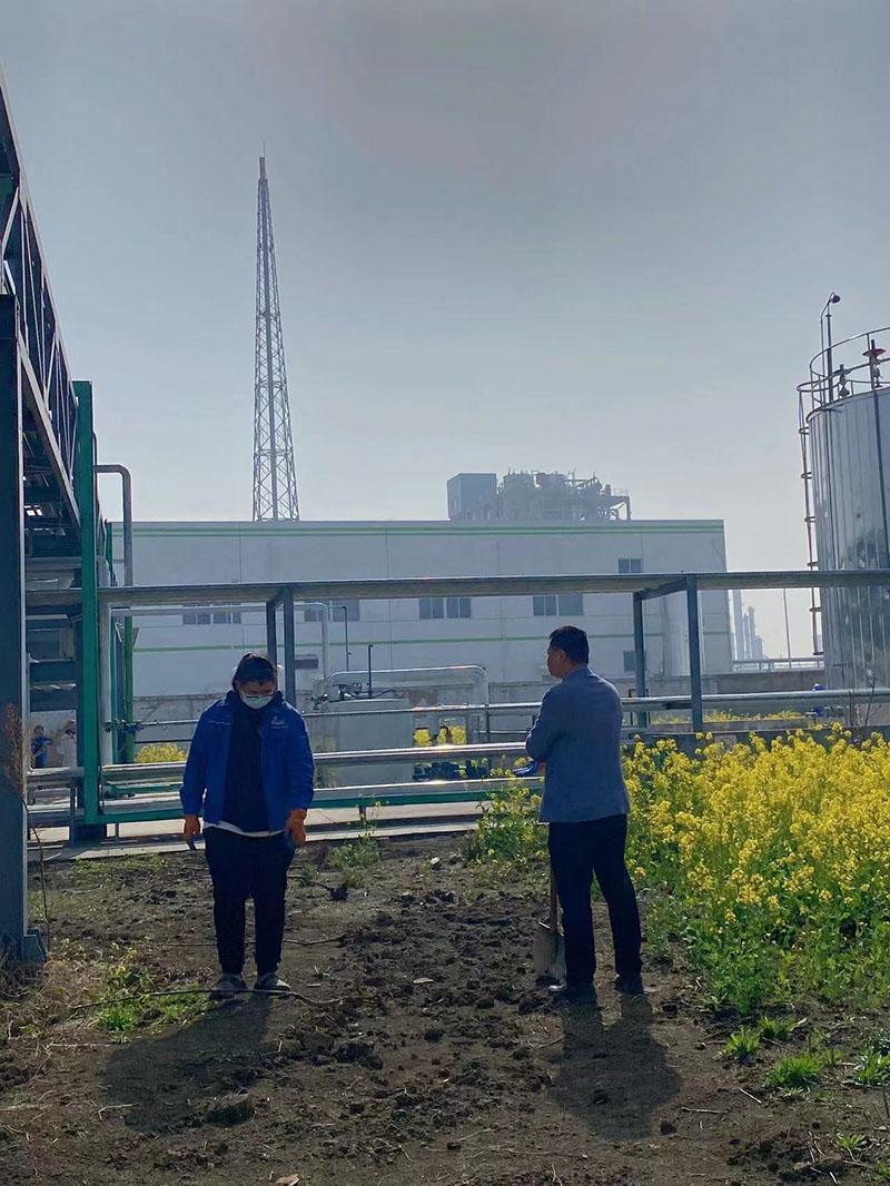 2022年3月植树活动