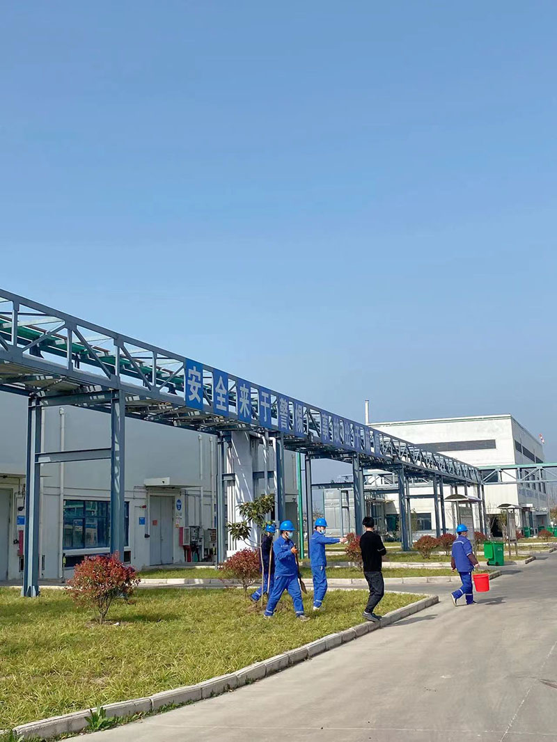 2022年3月植树活动