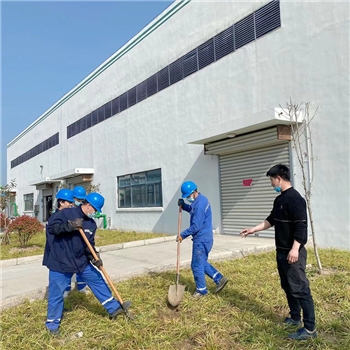 2022年3月植树活动