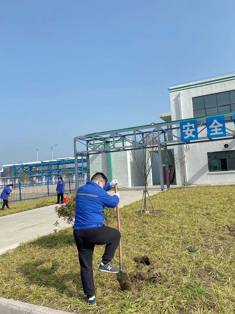 2022年3月植树活动