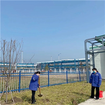2022年3月植树活动