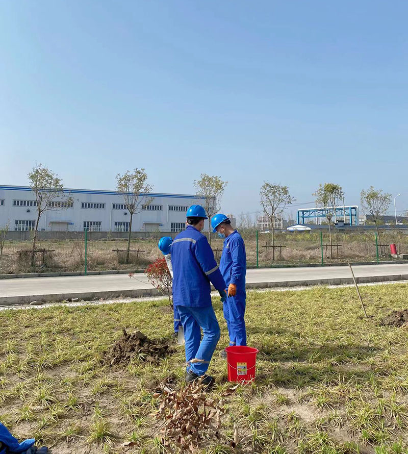 2022年3月植树活动