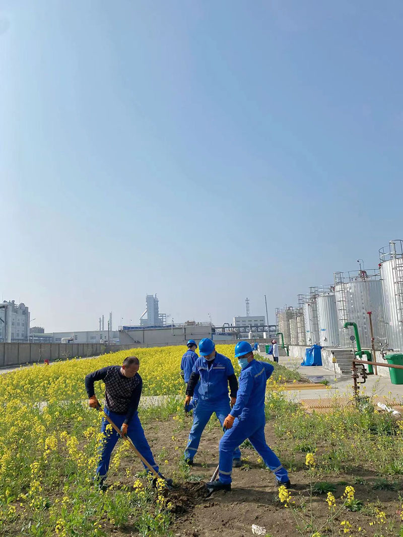 2022年3月植树活动