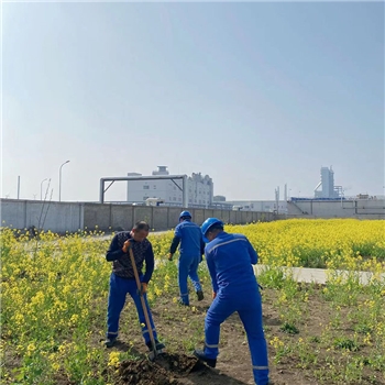 2022年3月植树活动