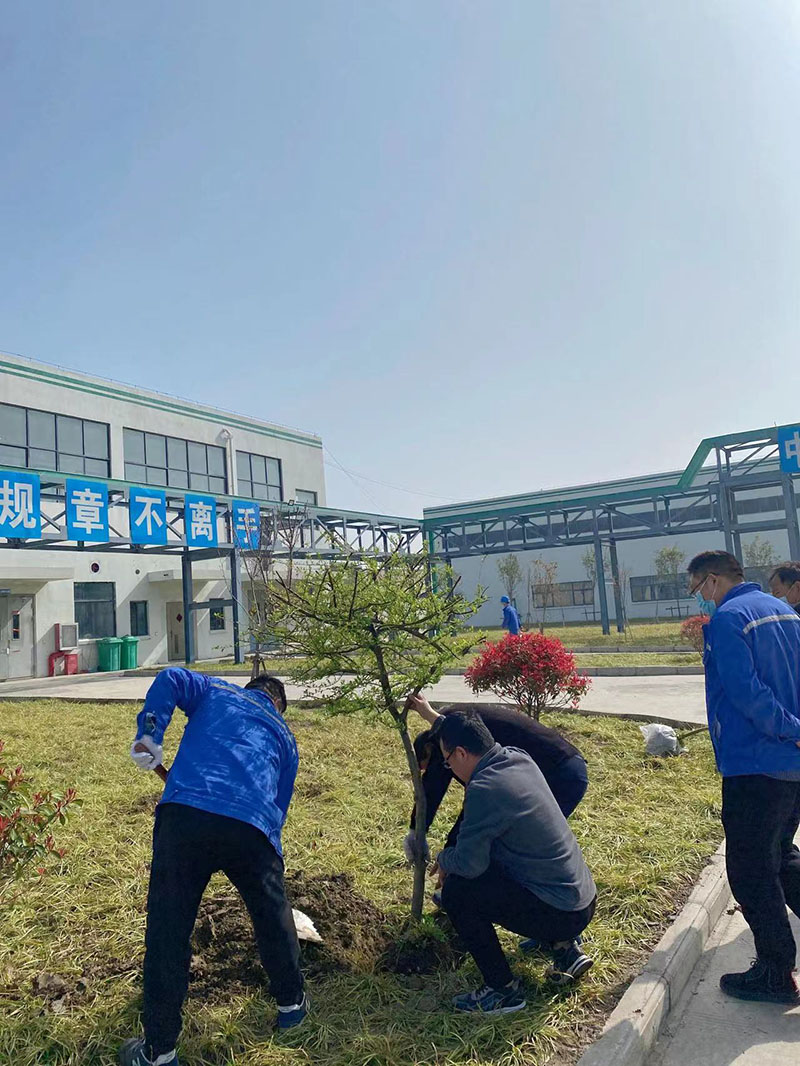 2022年3月植树活动