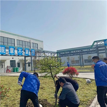 2022年3月植树活动