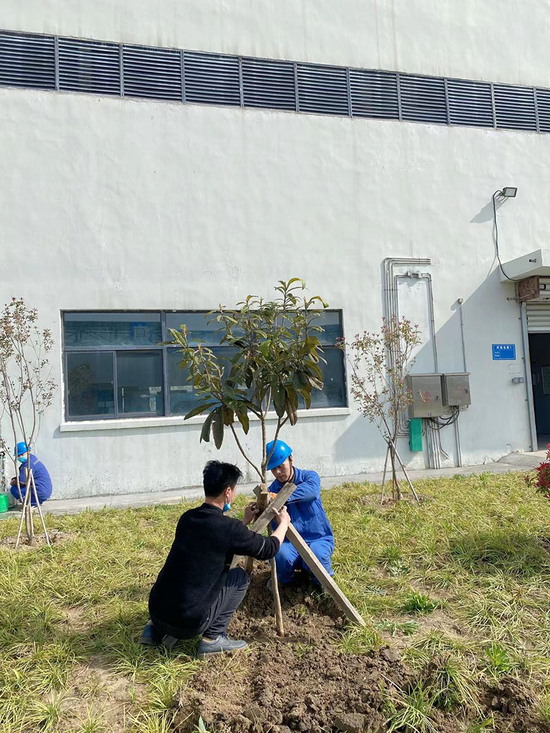 2022年3月植树活动