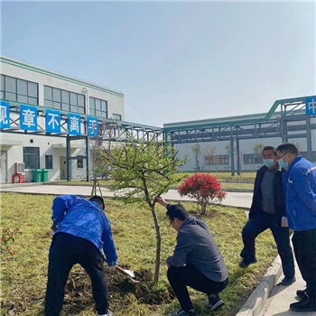 2022年3月植树活动