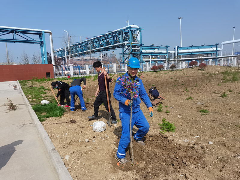 2022年3月植树活动