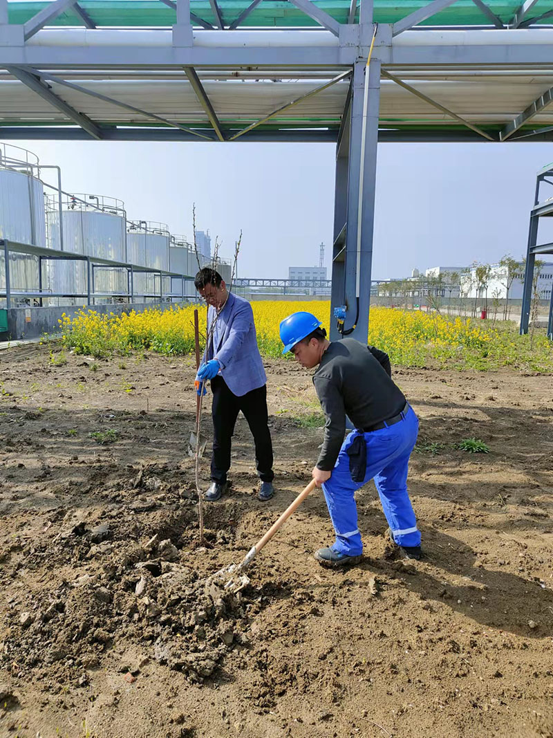 2022年3月植树活动
