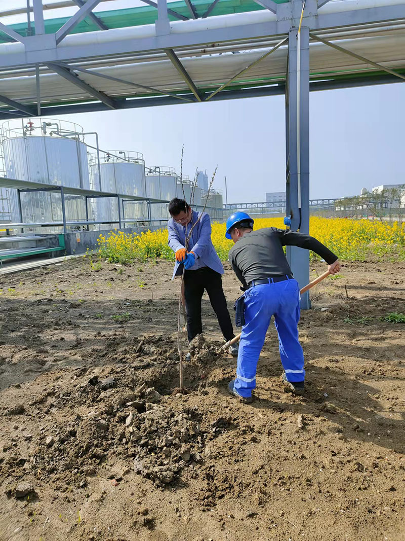 2022年3月植树活动