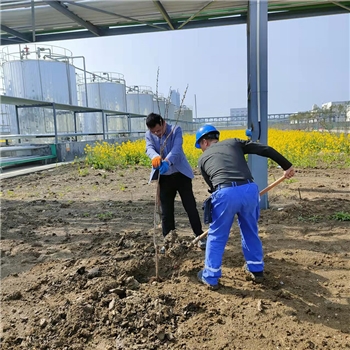 2022年3月植树活动
