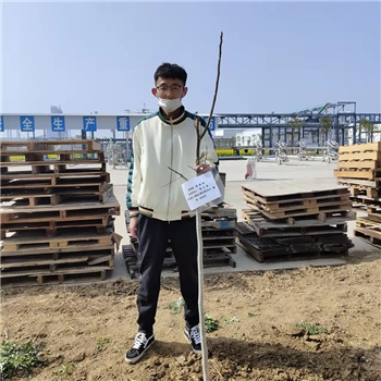 2022年3月植树活动