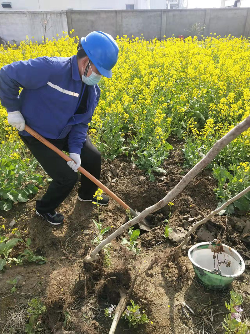 2022年3月植树活动