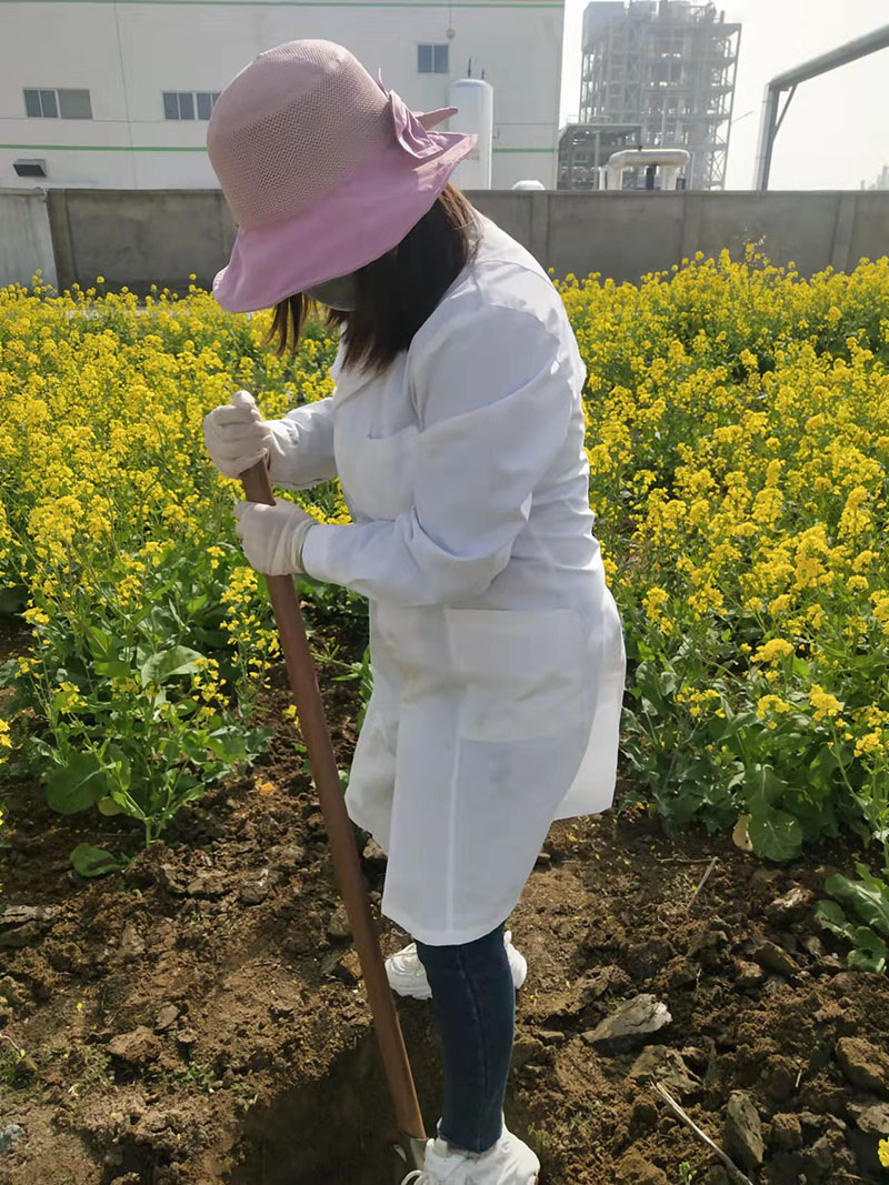 2022年3月植树活动
