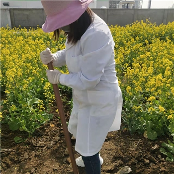2022年3月植树活动