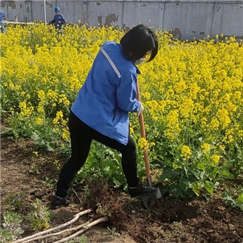 2022年3月植树活动